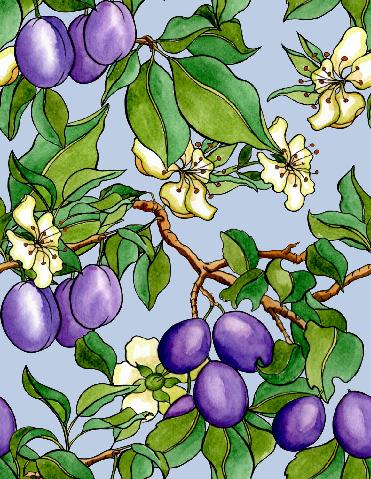 Sweat Plums