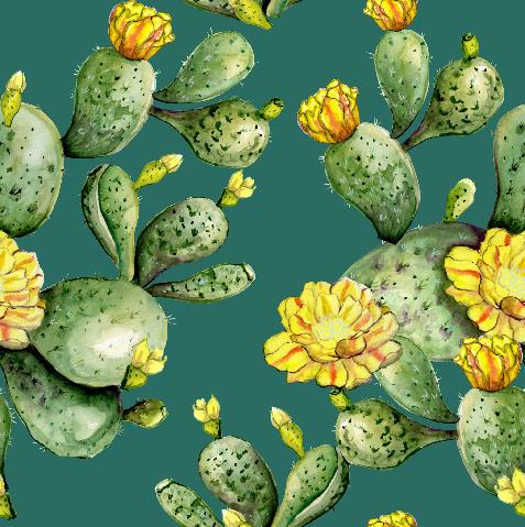 Opuntia Cactus
