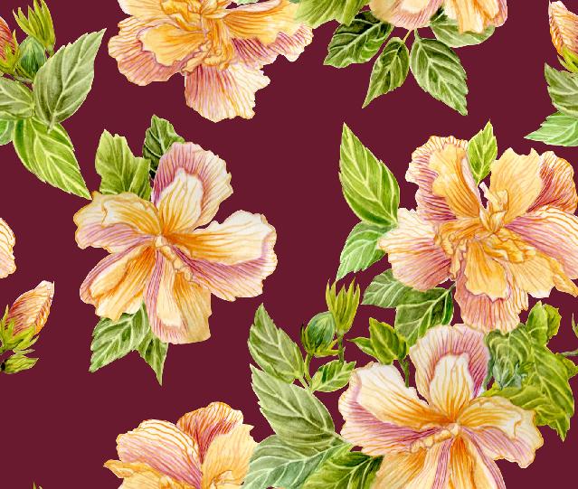 Single hibiscus