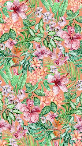 Hibiscus with leaves