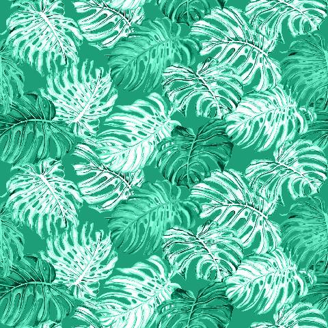 Green Monstera 