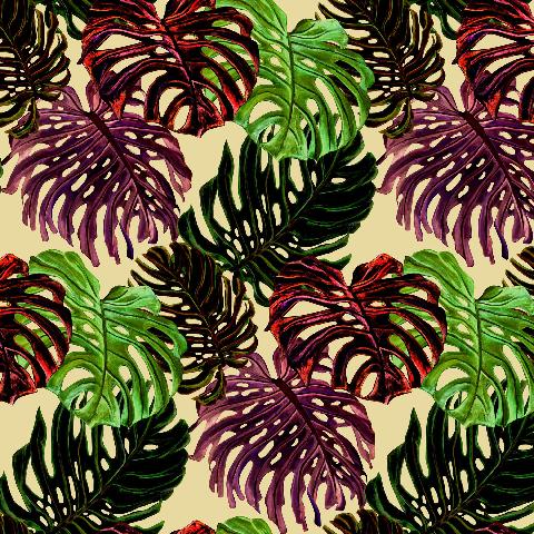 Monstera Noir