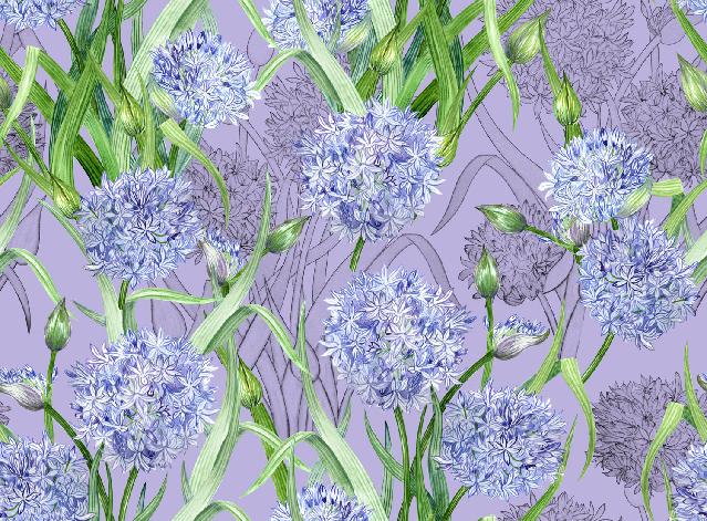 Harmony blue 2